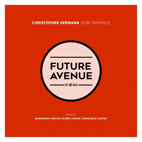 Christopher Hermann - Gobi (Remixes) [FA208]